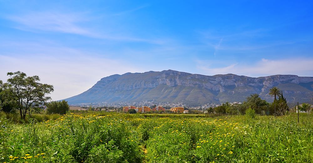 Propiedades en venta en Montgó (Dénia)