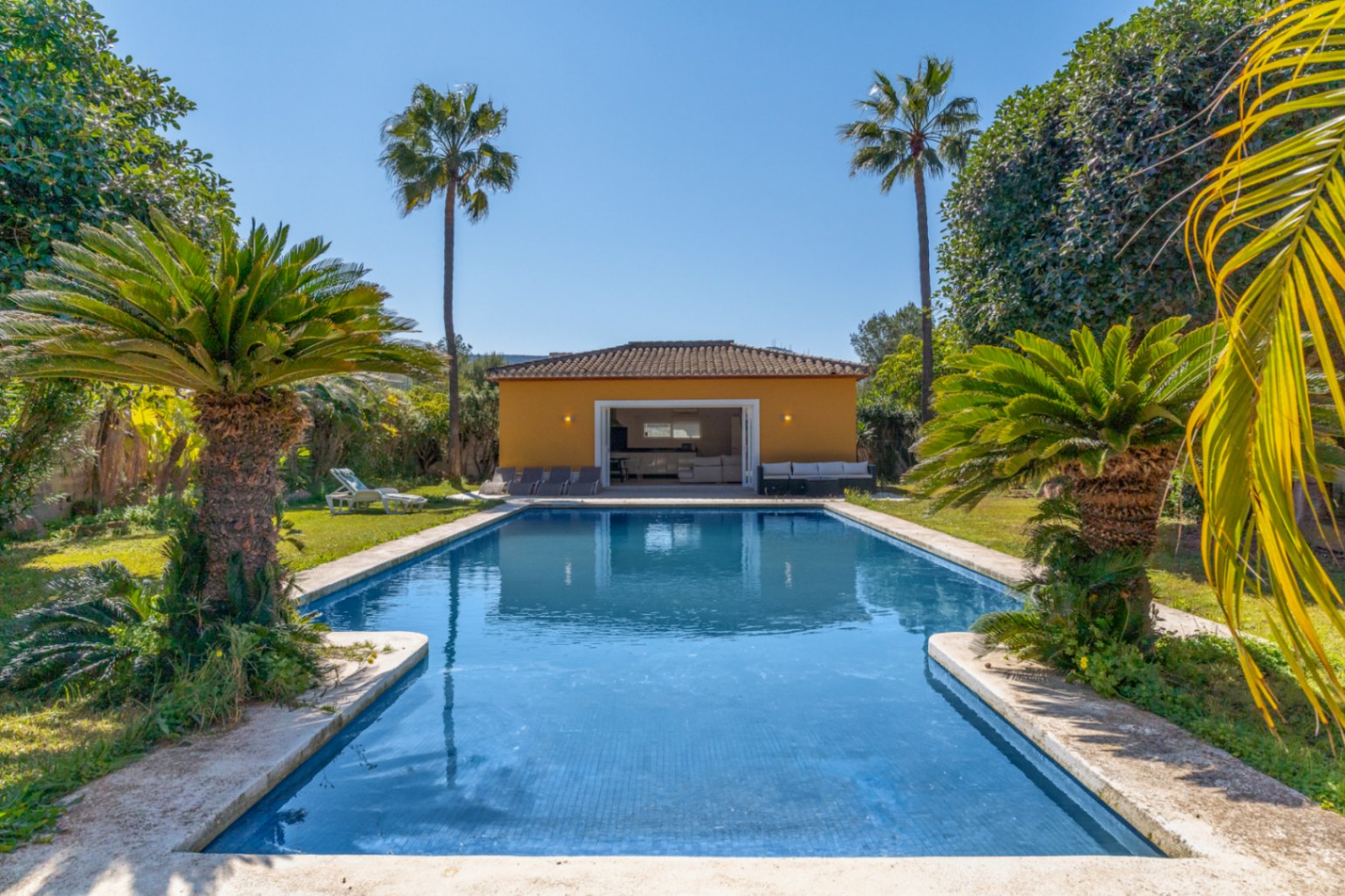 Piscina rectangular de 15x6 metros rodeada de césped y palmeras, con vistas a una construcción auxiliar de 67 m² destinada a barbacoa y zona de ocio.