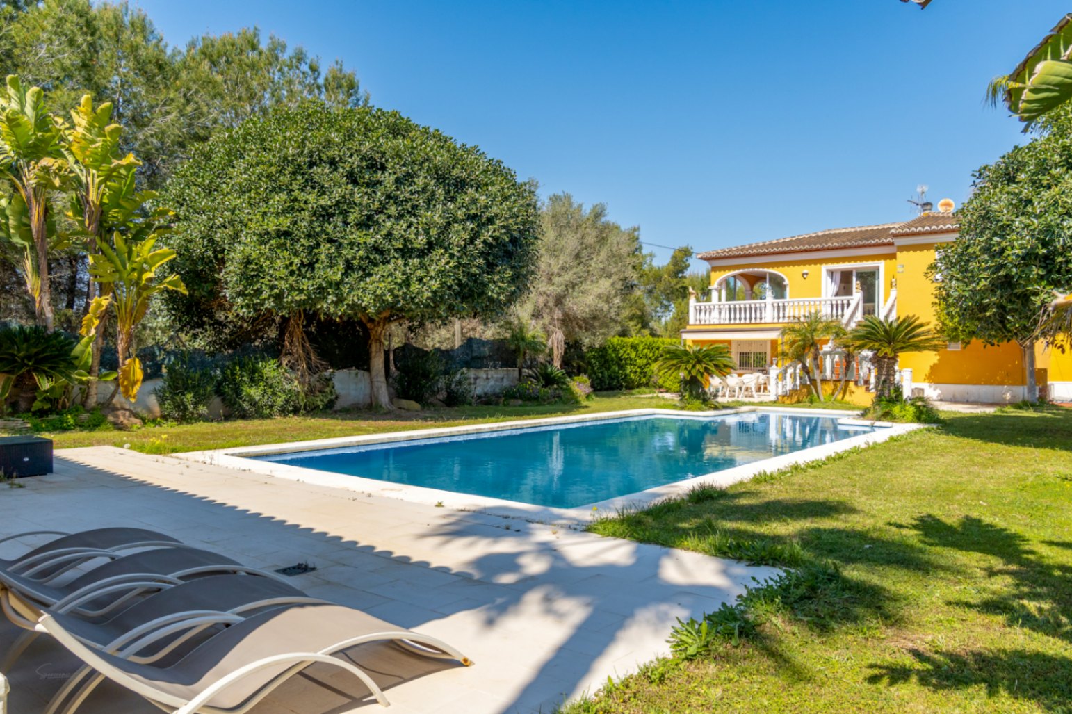 Piscina rectangular de 15x6 metros rodeada de césped y vegetación autóctona, con la villa de fachada amarilla y terrazas con balaustrada blanca al fondo.