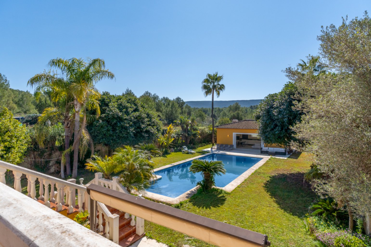 Vista elevada del jardín mediterráneo con piscina de 15x6m, rodeada de palmeras y una edificación independiente frente a un entorno natural protegido.