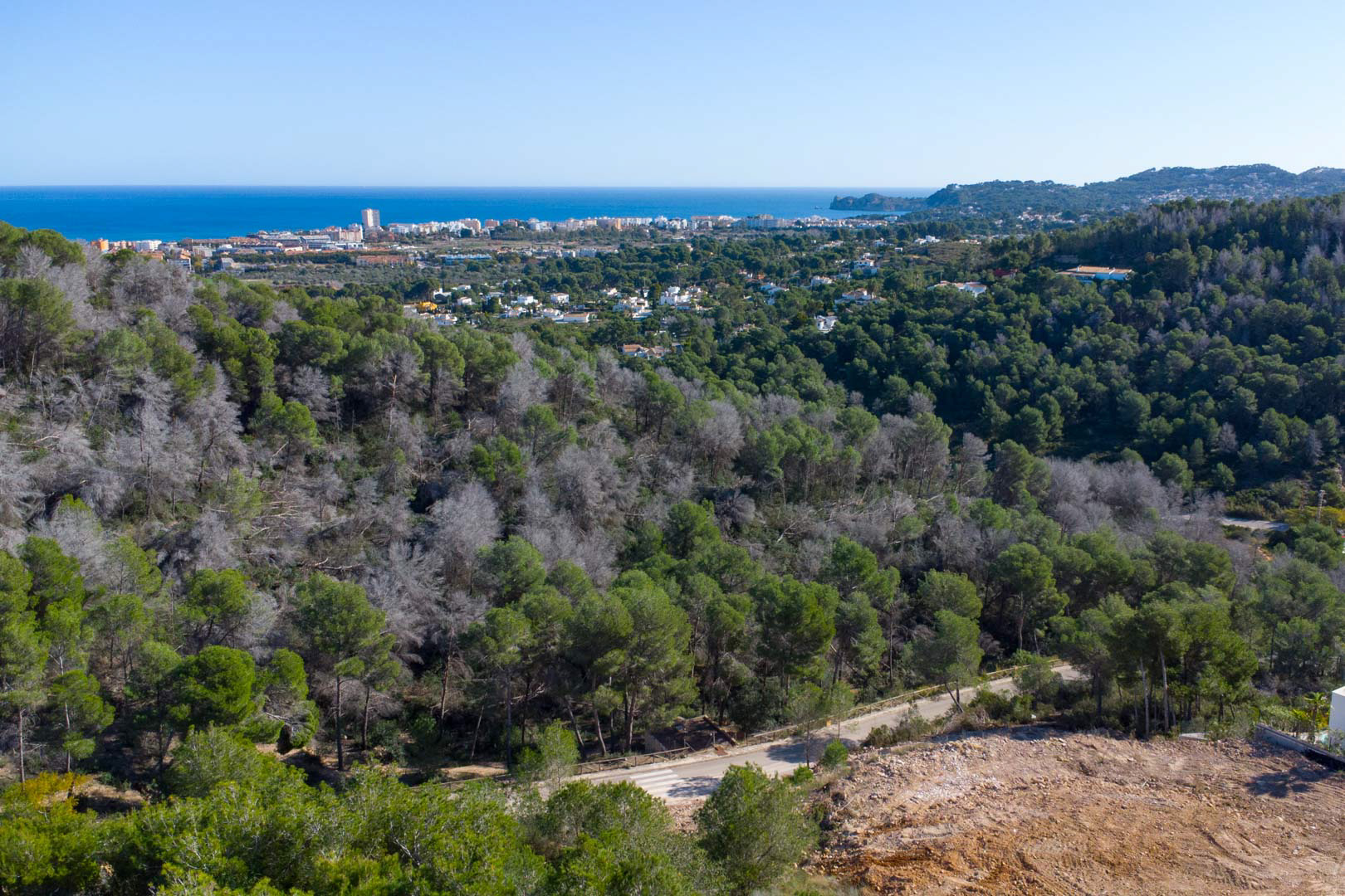 Vistas panorámicas desde la parcela elevada hacia el mar Mediterráneo, rodeada de un entorno natural de pinos y con el núcleo urbano costero al fondo.