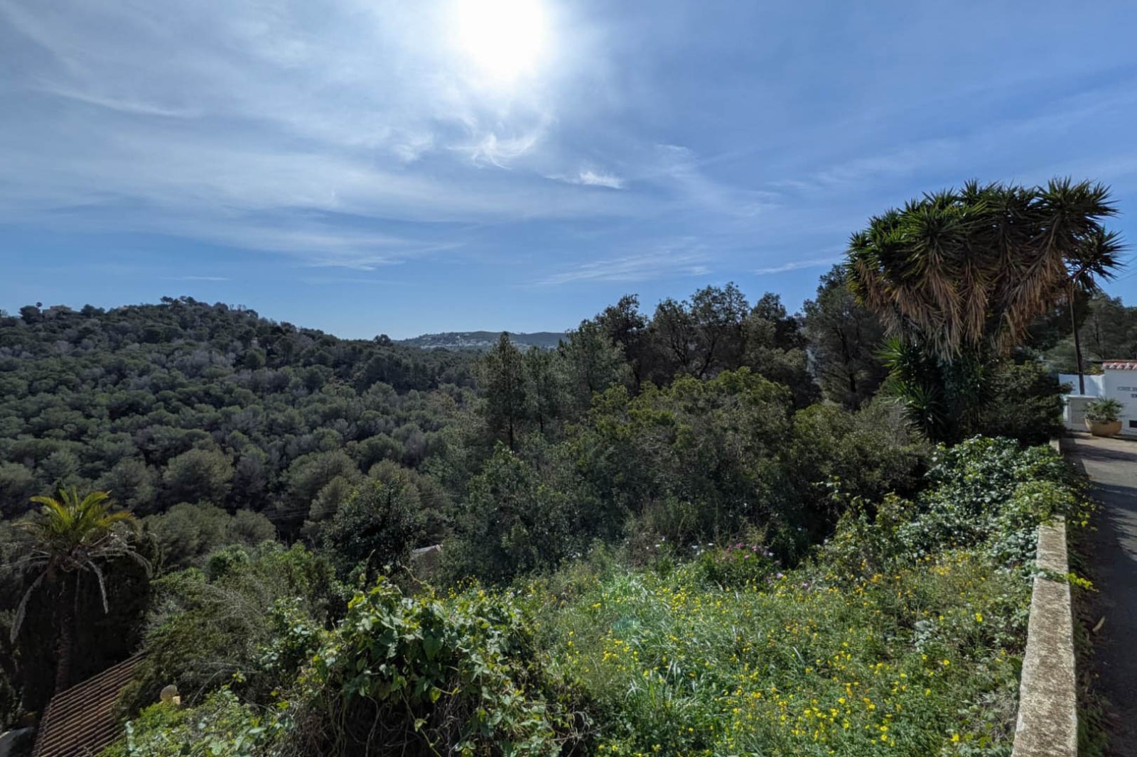 Vista panorámica desde la parcela elevada hacia las colinas boscosas y el mar Mediterráneo en el horizonte, rodeada de vegetación autóctona.