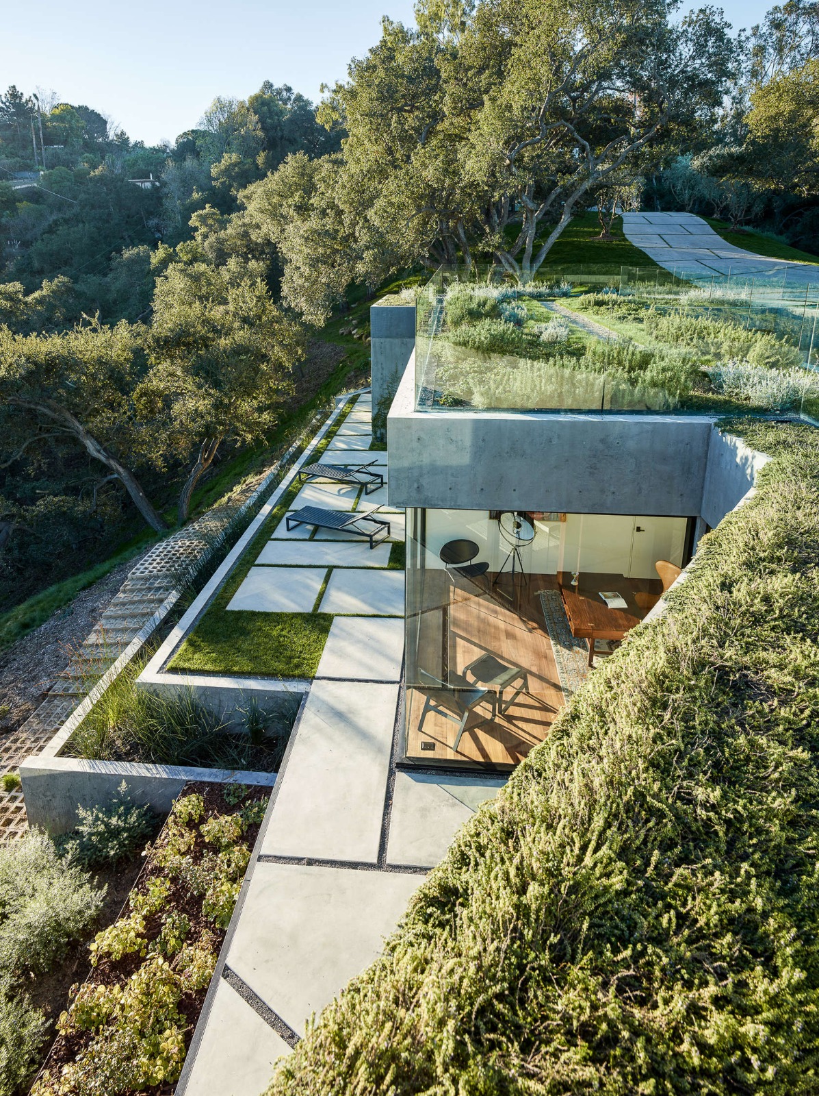 Chalet moderno de hormigón visto con cubierta vegetal, barandillas de cristal y terrazas pavimentadas integradas en la ladera boscosa de Benissa.