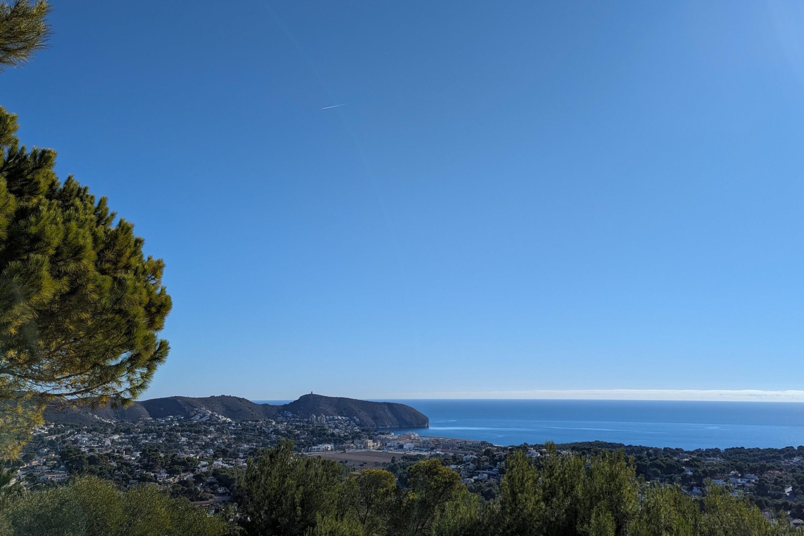 Vista panorámica elevada hacia la costa de Moraira y el mar Mediterráneo, enmarcada por pinos autóctonos bajo un cielo despejado.