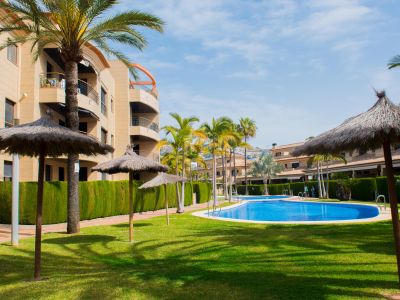 Amplios jardines comunitarios con dos piscinas, rodeadas de césped verde, palmeras y sombrillas de paja. Edificios residenciales con balcones al fondo.