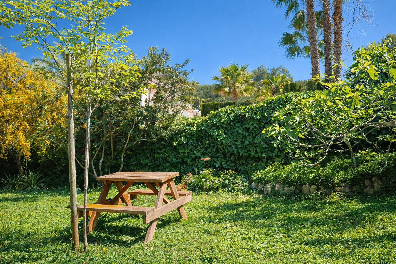 Jardín con césped natural y mesa de picnic de madera, rodeado por un seto denso que garantiza privacidad y vistas a las palmeras del entorno.