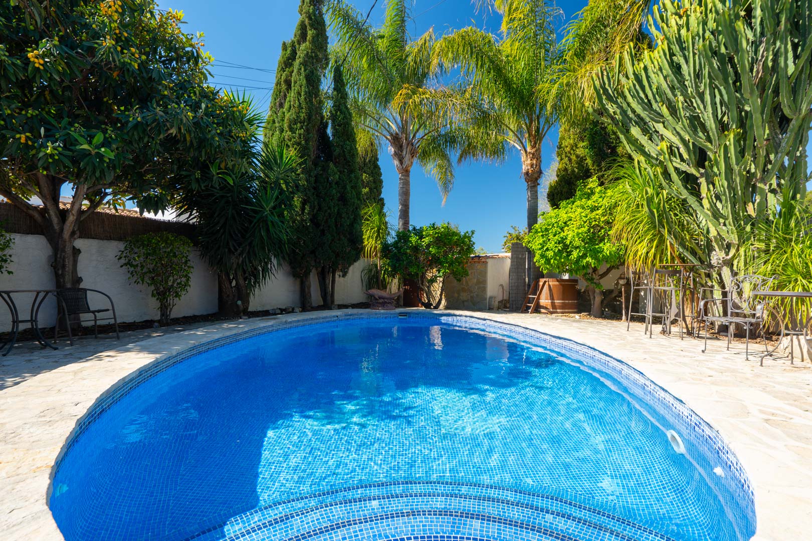 Piscina ovalada con gresite azul, rodeada de suelo de piedra natural y un jardín maduro con palmeras, cipreses y cactus bajo el sol.