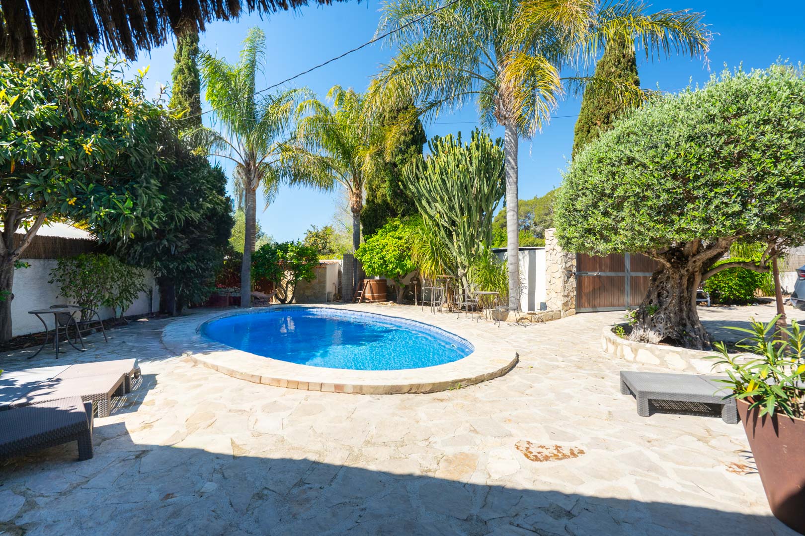 Piscina ovalada rodeada de una terraza de piedra natural y un jardín mediterráneo maduro con palmeras, un olivo y cactus variados.