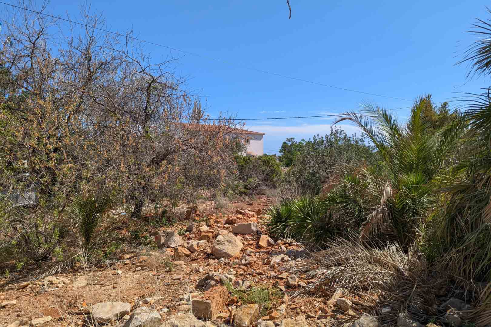Superficie del terreno con suelo rocoso y vegetación autóctona mediterránea, mostrando el entorno natural y la cercanía a edificaciones residenciales.