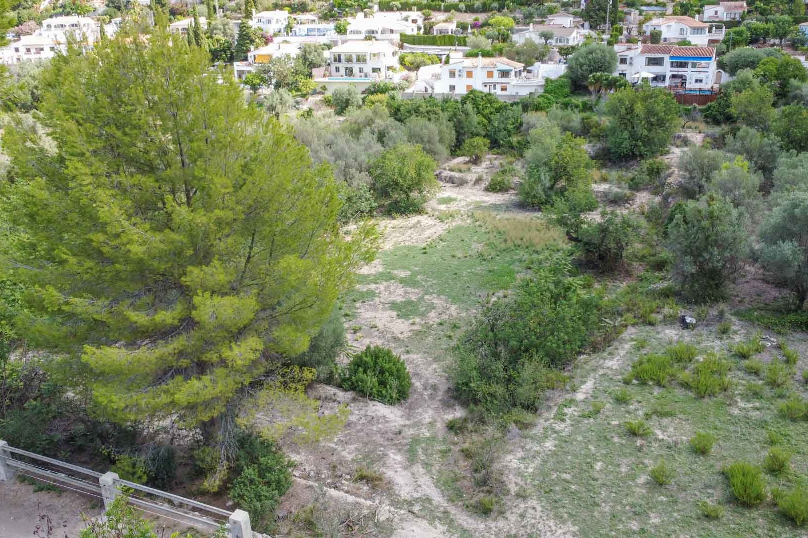 Vista elevada de la extensa parcela natural con pinos maduros y vegetación mediterránea, integrada en un entorno residencial tranquilo en Orba.
