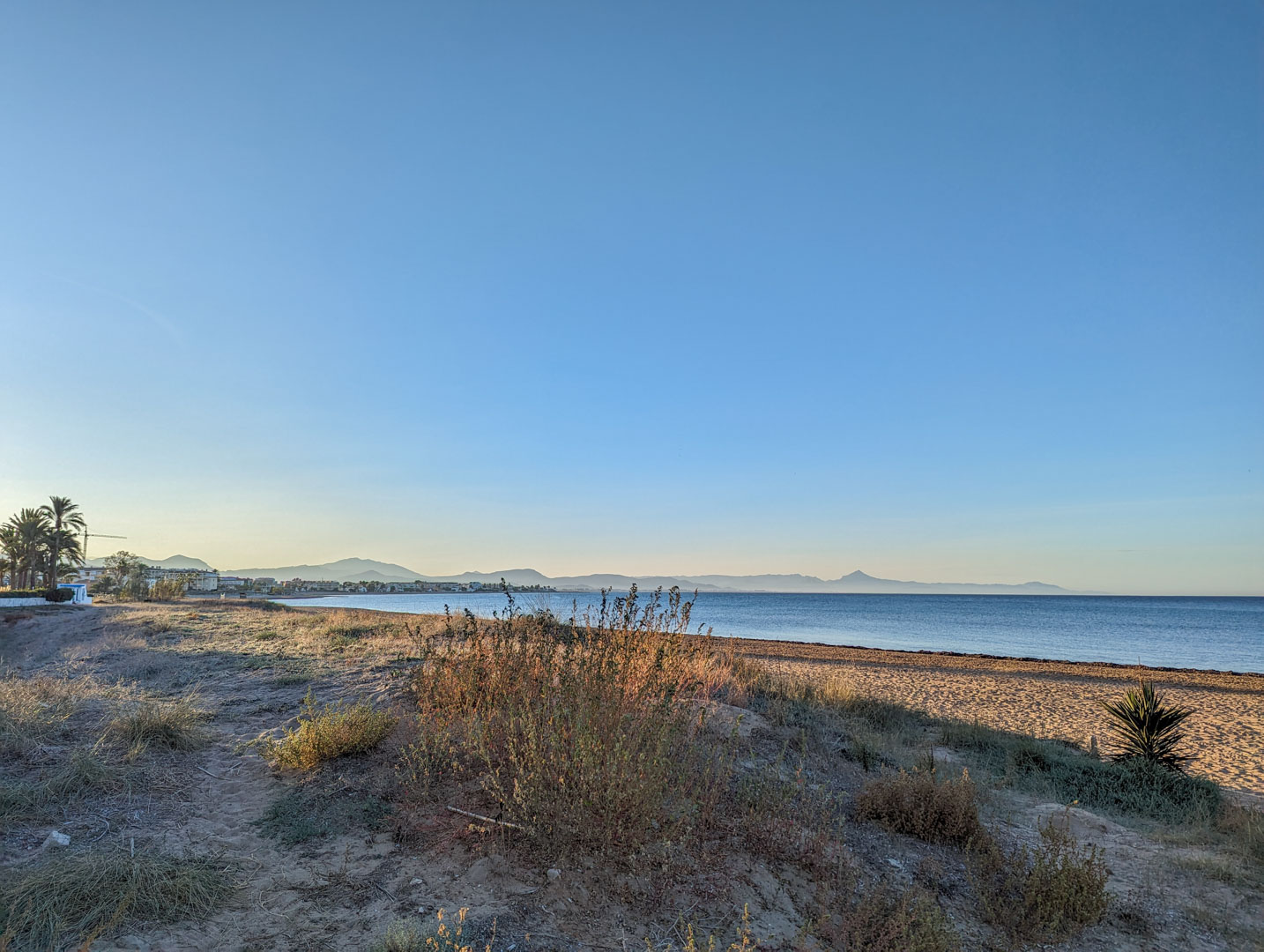 Amplia vista de una playa natural con dunas y vegetación silvestre, frente a un mar en calma con una cordillera montañosa en el horizonte bajo un cielo despejado.