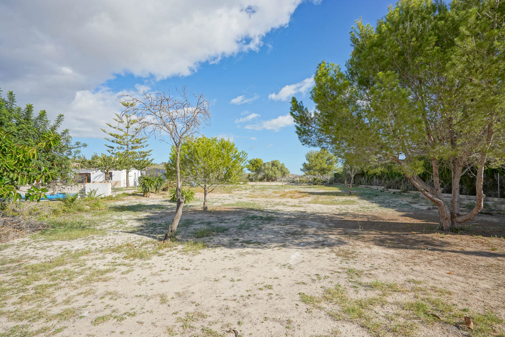 Amplia parcela llana de 4008 m² con pinos adultos y vegetación mediterránea, ofreciendo gran privacidad y potencial de desarrollo bajo un cielo despejado.