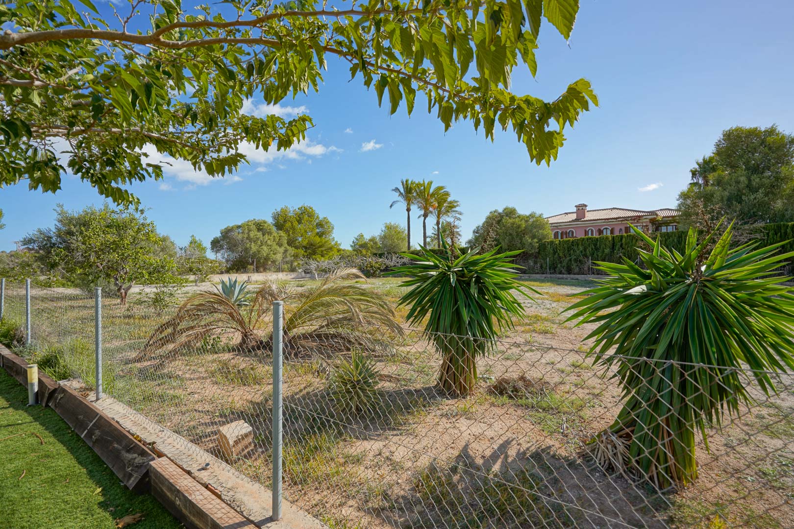 Parcela llana de 4008 m² con vegetación mediterránea, incluyendo yucas y palmeras, delimitada por un vallado perimetral en un entorno tranquilo y despejado.