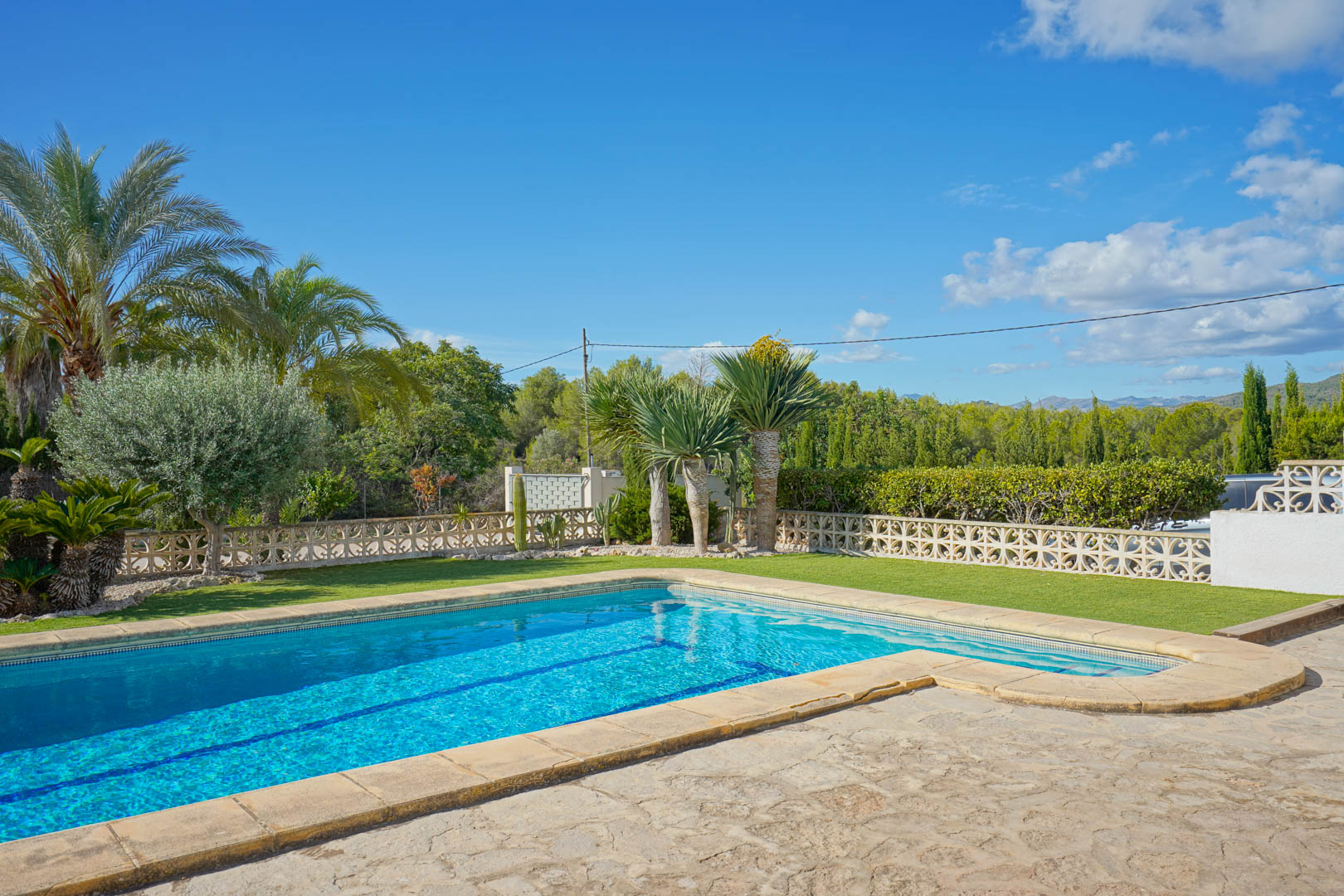 Piscina exterior con terraza de piedra natural y zona de césped, rodeada de palmeras y un muro decorativo de celosía blanca con vistas despejadas.