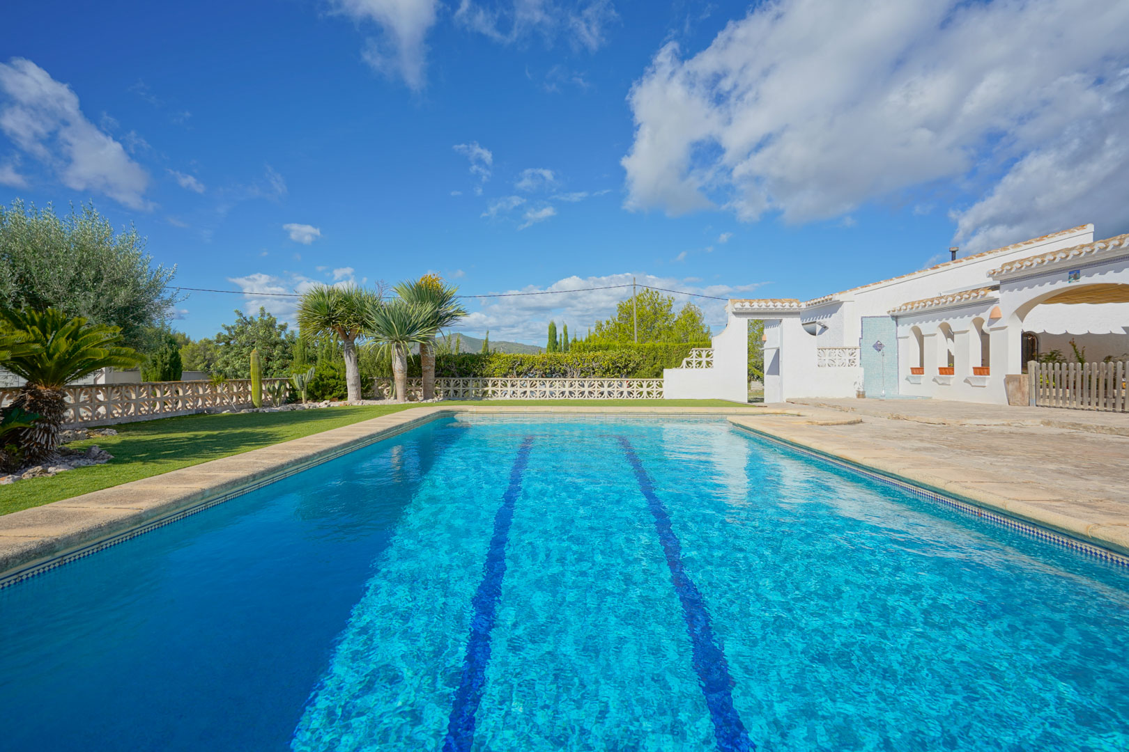 Piscina rectangular con carriles de natación, rodeada de una terraza de piedra y jardín con palmeras frente a la arquitectura blanca de estilo mediterráneo.