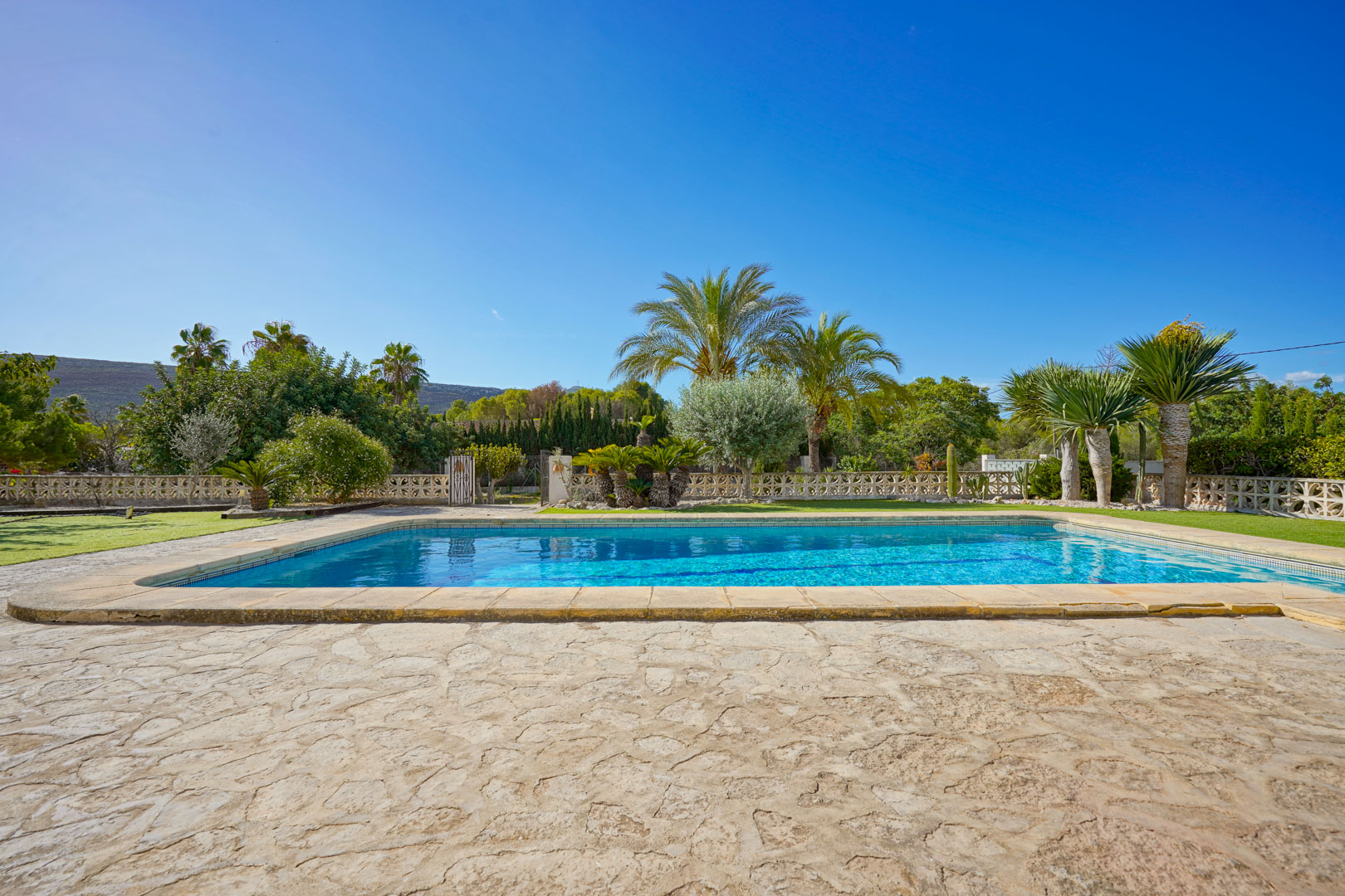 Piscina rectangular rodeada por una terraza de piedra natural y un jardín mediterráneo con palmeras y yucas bajo un cielo despejado.