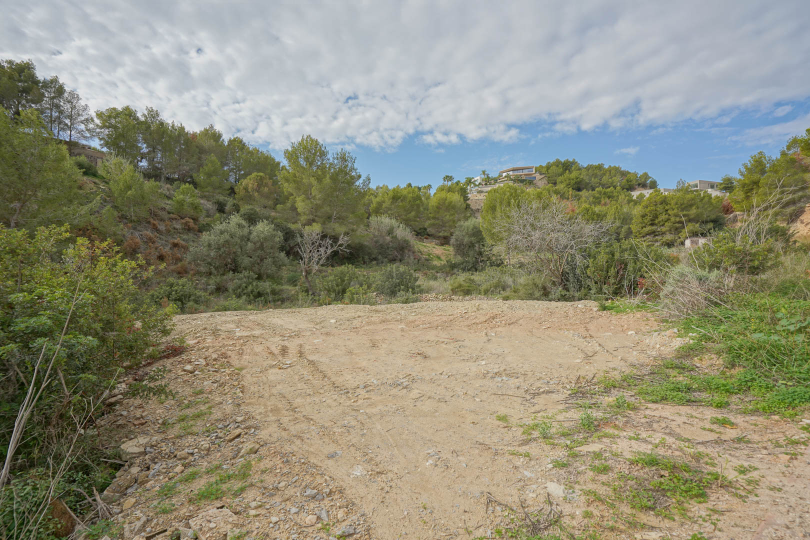 Parcela llana y despejada rodeada de vegetación mediterránea y pinos, lista para el inicio de la construcción en una zona residencial consolidada.
