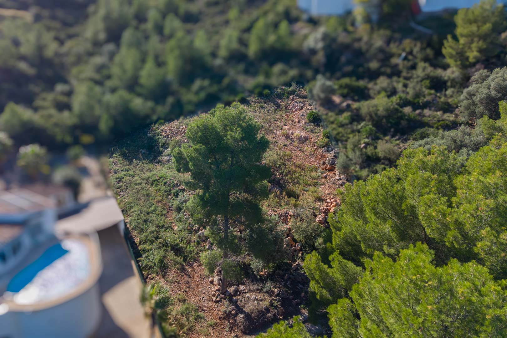 Vista aérea de la parcela en Montepego, destacando su orografía inclinada con pinos y vegetación mediterránea sobre suelo rocoso natural.