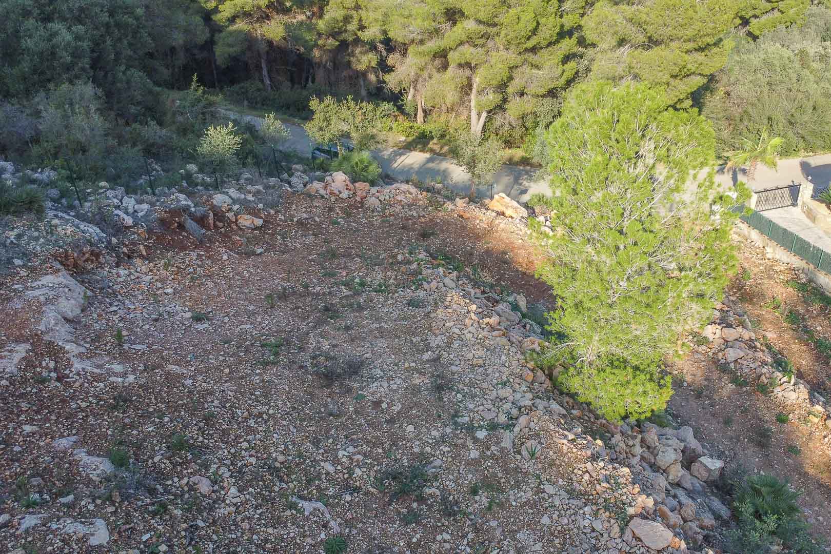 Vista elevada de la parcela que muestra la orografía natural con tierra rojiza y rocas, rodeada por un denso bosque de pinos mediterráneos.