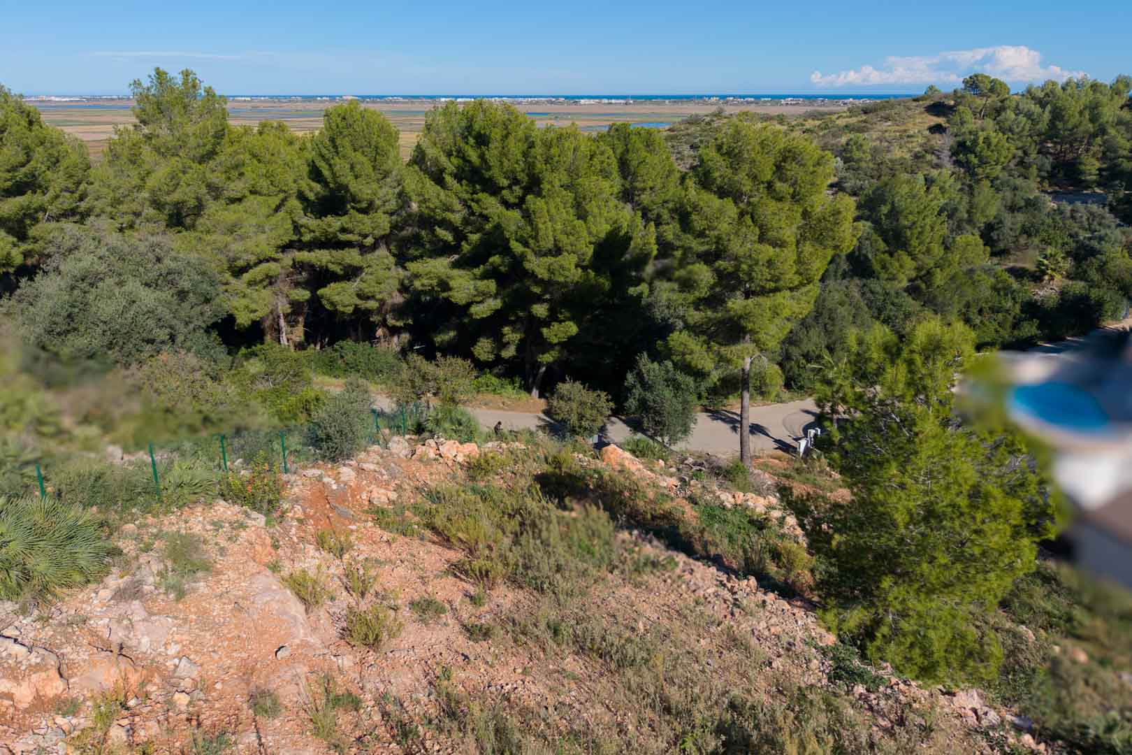 Vista panorámica desde la parcela elevada hacia el Parque Natural de la Marjal de Pego y el mar Mediterráneo, rodeada de pinos y vegetación autóctona.