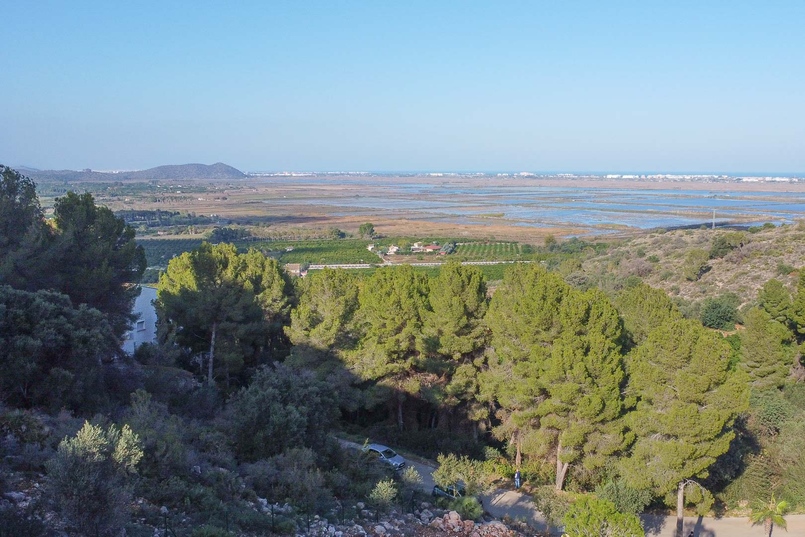 Vista panorámica desde la parcela hacia el Parque Natural de la Marjal de Pego y el mar Mediterráneo, rodeada de vegetación autóctona y pinos.