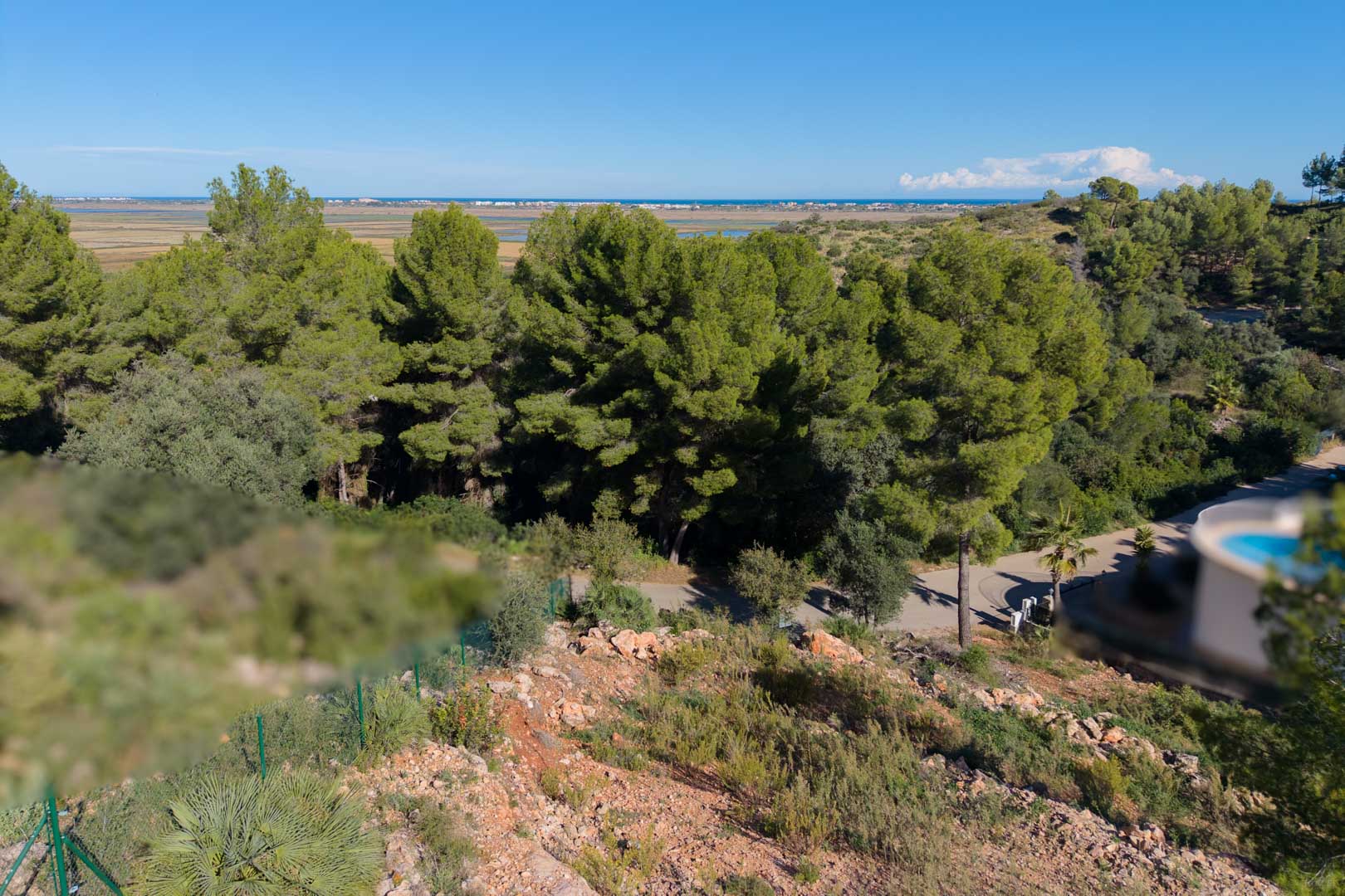 Vistas panorámicas desde la parcela elevada hacia el Parque Natural de la Marjal de Pego y el mar Mediterráneo, rodeada de pinos autóctonos y vegetación.