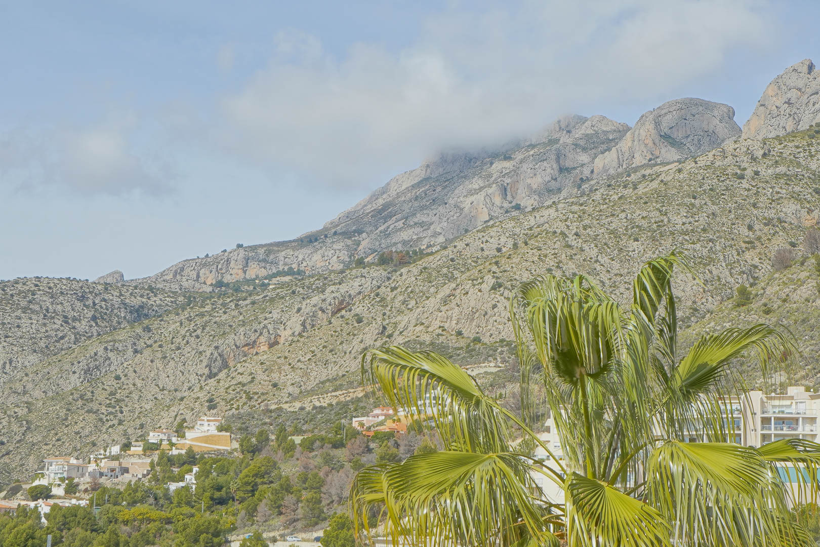 Vistas panorámicas a la Sierra de Bernia desde la propiedad, destacando el relieve rocoso y la vegetación mediterránea con palmeras en primer plano.