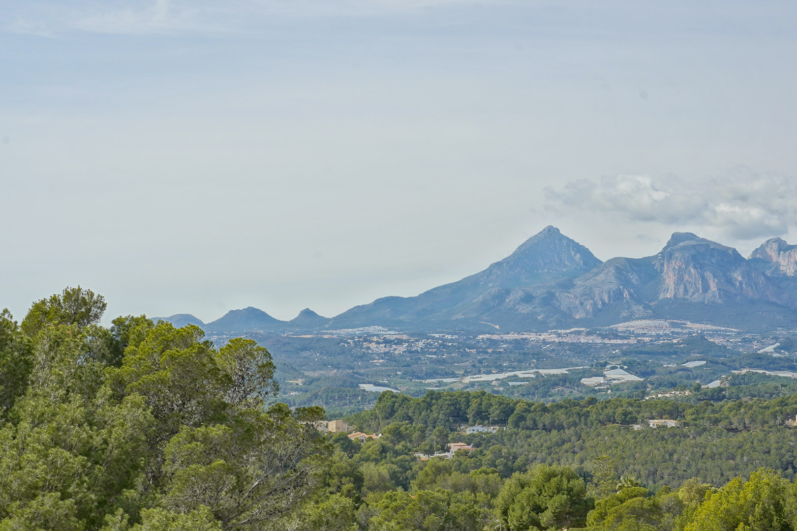 Vistas panorámicas desde la propiedad hacia el Puig Campana y la Sierra Aitana, rodeadas de un frondoso bosque de pinos mediterráneos.