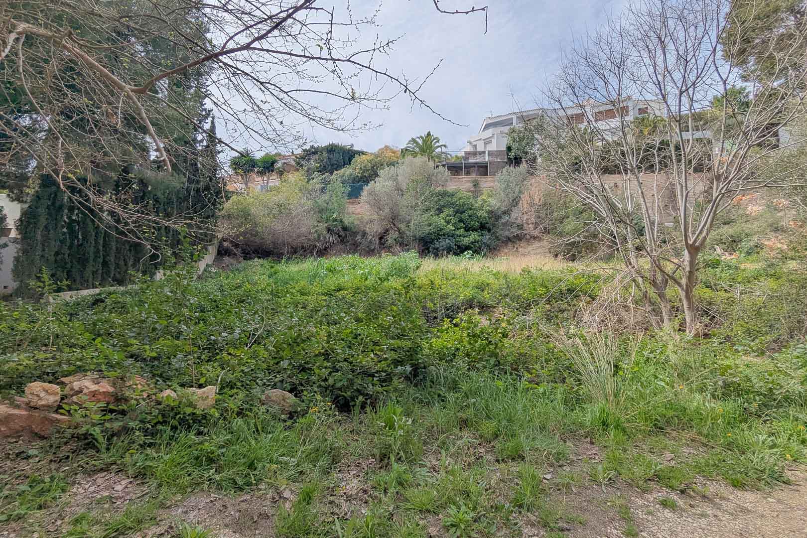 Parcela elevada con vegetación mediterránea autóctona y árboles maduros, situada en una zona residencial consolidada con vistas despejadas hacia el entorno natural.