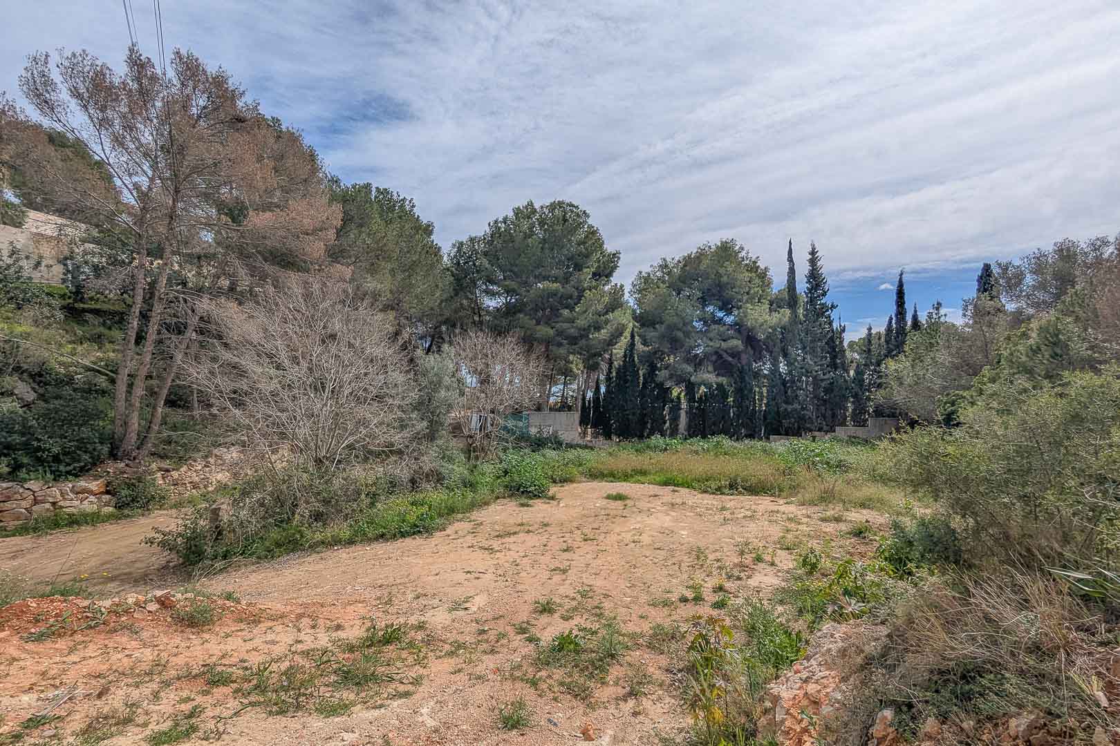 Parcela elevada en la urbanización La Corona, rodeada de pinos maduros y vegetación autóctona, ideal para la construcción de una villa personalizada.