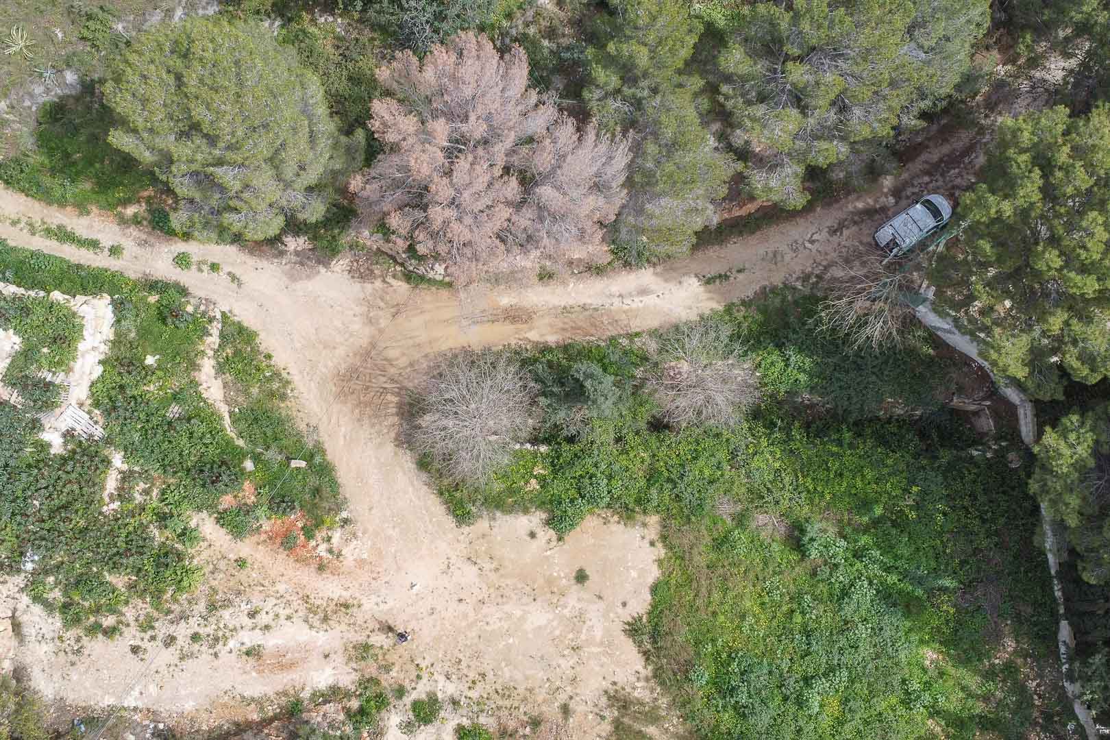 Vista aérea del terreno actual en La Corona, mostrando los caminos de acceso de tierra rodeados de vegetación autóctona y pinos mediterráneos.
