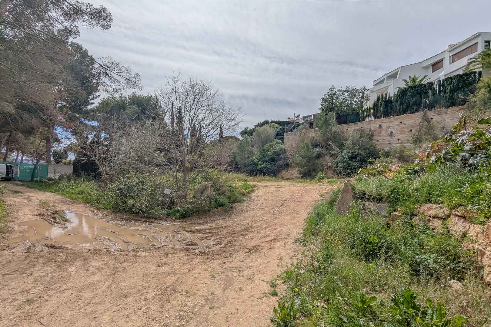Vista del terreno elevado en La Corona, mostrando la parcela natural rodeada de vegetación autóctona y muros de contención de propiedades colindantes.