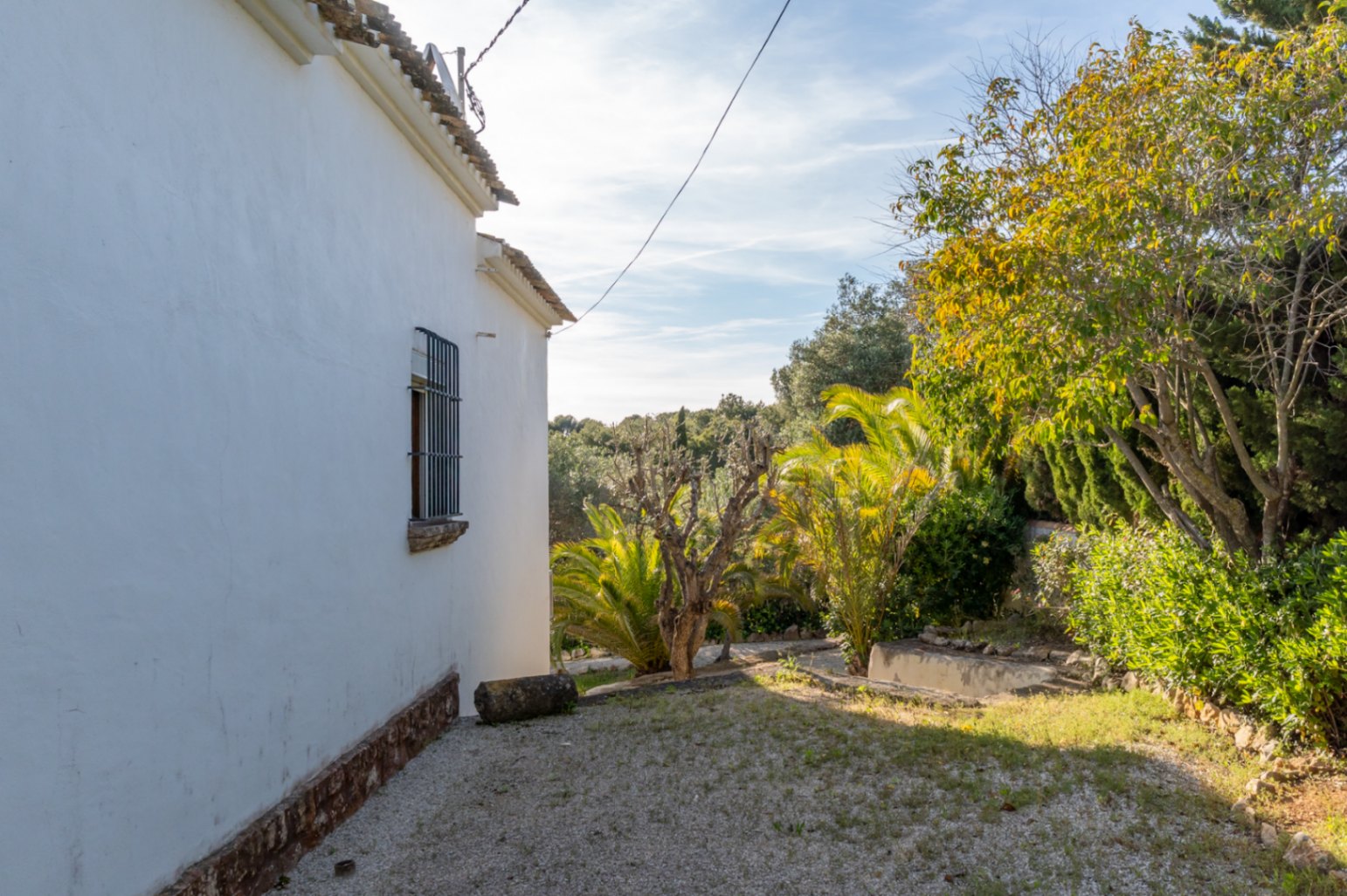 Fachada lateral blanca con ventana protegida por rejería de hierro, rodeada de un jardín con palmeras y árboles consolidados bajo el cielo despejado de Jávea.