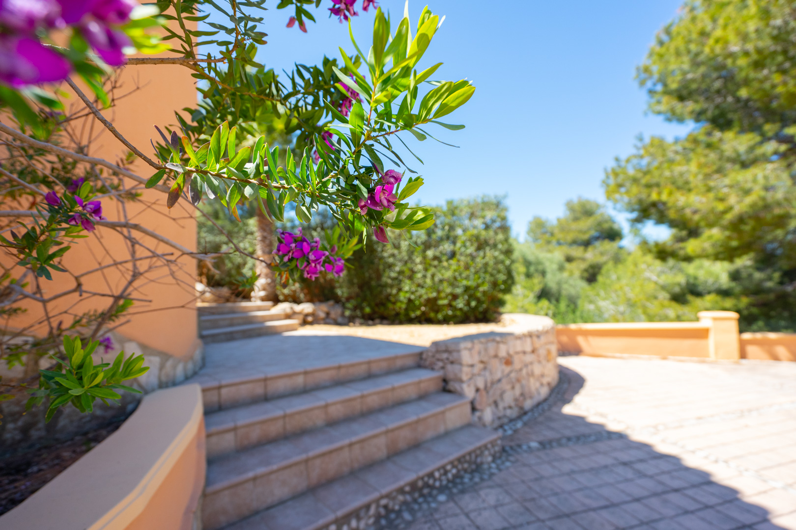 Escaleras exteriores de gres que conectan los niveles de la terraza, flanqueadas por un muro de piedra natural y vegetación mediterránea autóctona bajo un cielo despejado.