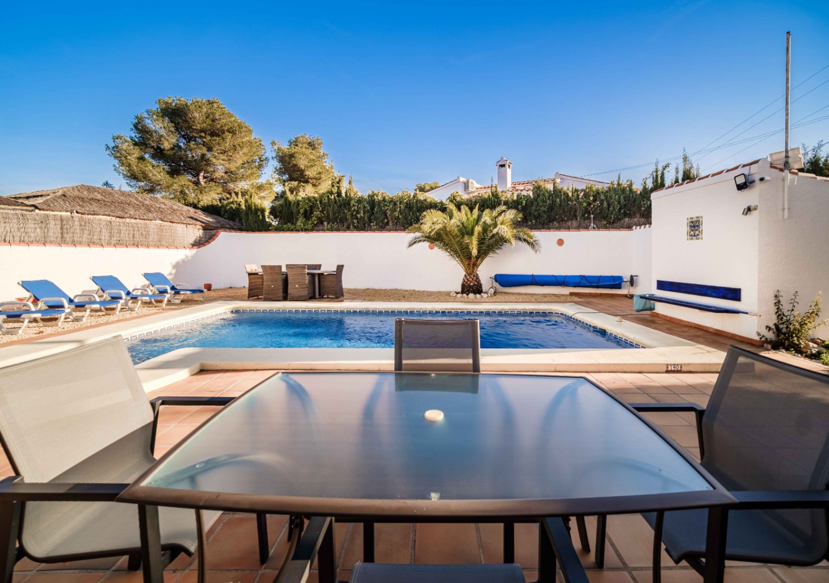 Piscina rectangular rodeada de una terraza de terracota con múltiples zonas de comedor exterior, tumbonas azules y una palmera ornamental bajo un cielo despejado.