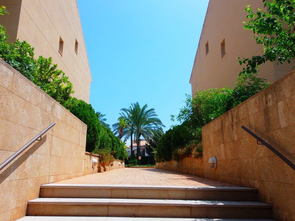 Acceso peatonal con muros revestidos de piedra, escaleras con pasamanos y vistas a los jardines comunitarios con palmeras bajo un cielo despejado.