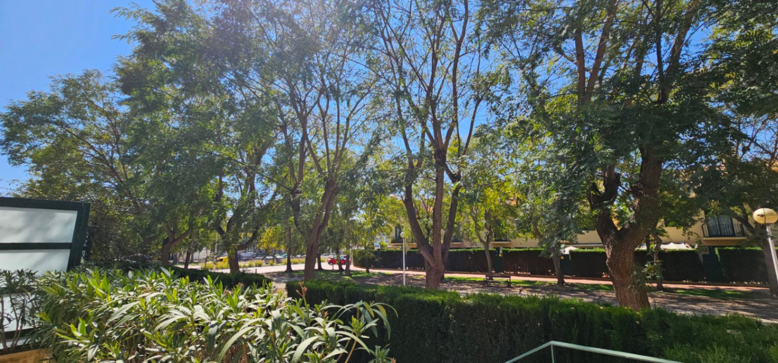Vista desde la terraza hacia las zonas verdes comunitarias, destacando los árboles maduros y setos cuidados bajo un cielo despejado.
