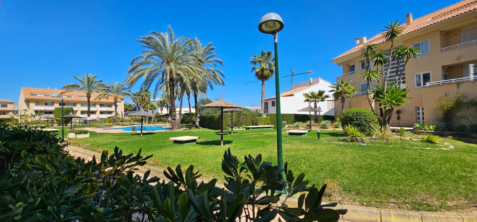 Zona comunitaria con amplio jardín de césped, palmeras maduras y sombrillas de brezo junto a la piscina bajo un cielo despejado.