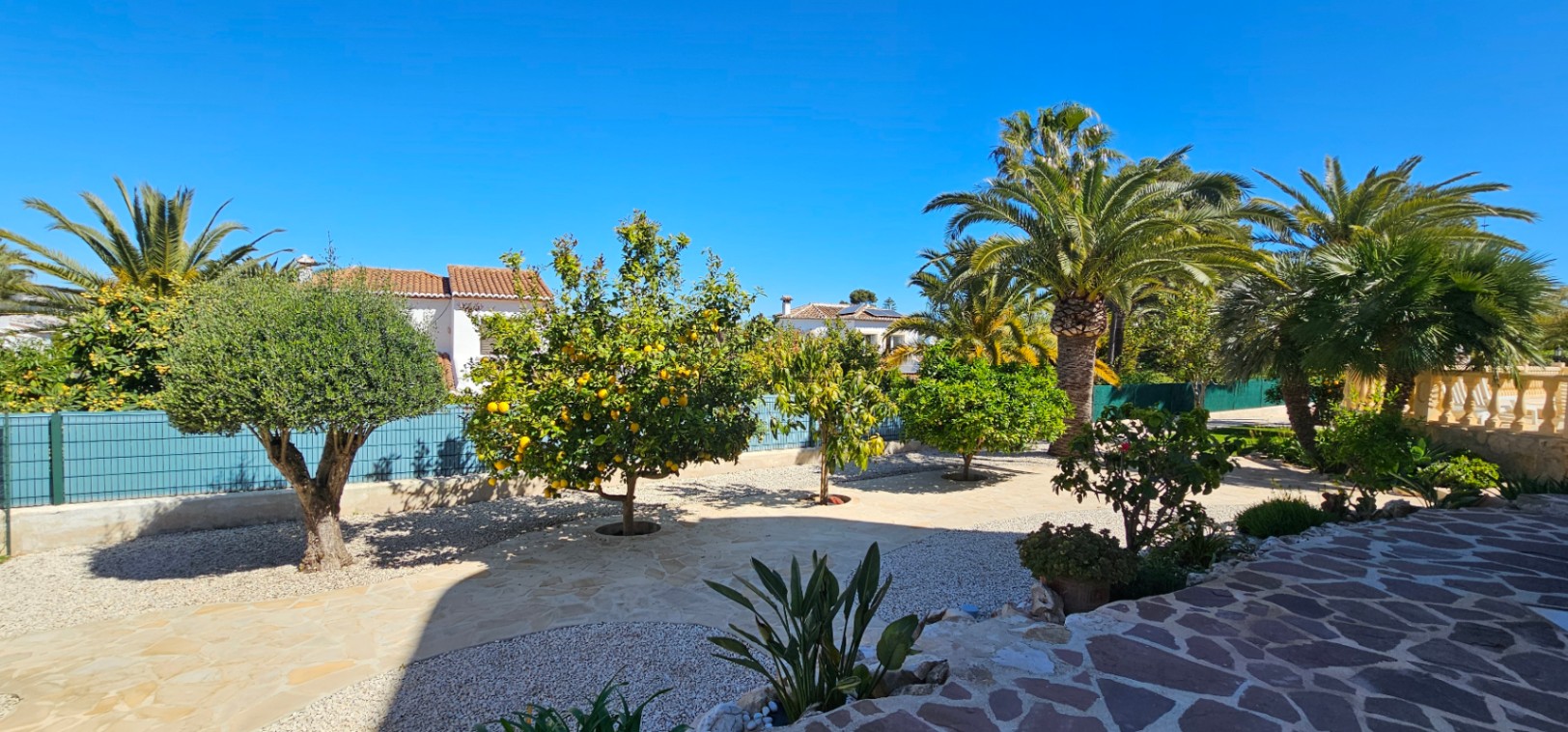 Jardín mediterráneo con árboles frutales cargados de cítricos, olivos y palmeras, organizado con senderos de piedra natural y grava fina.