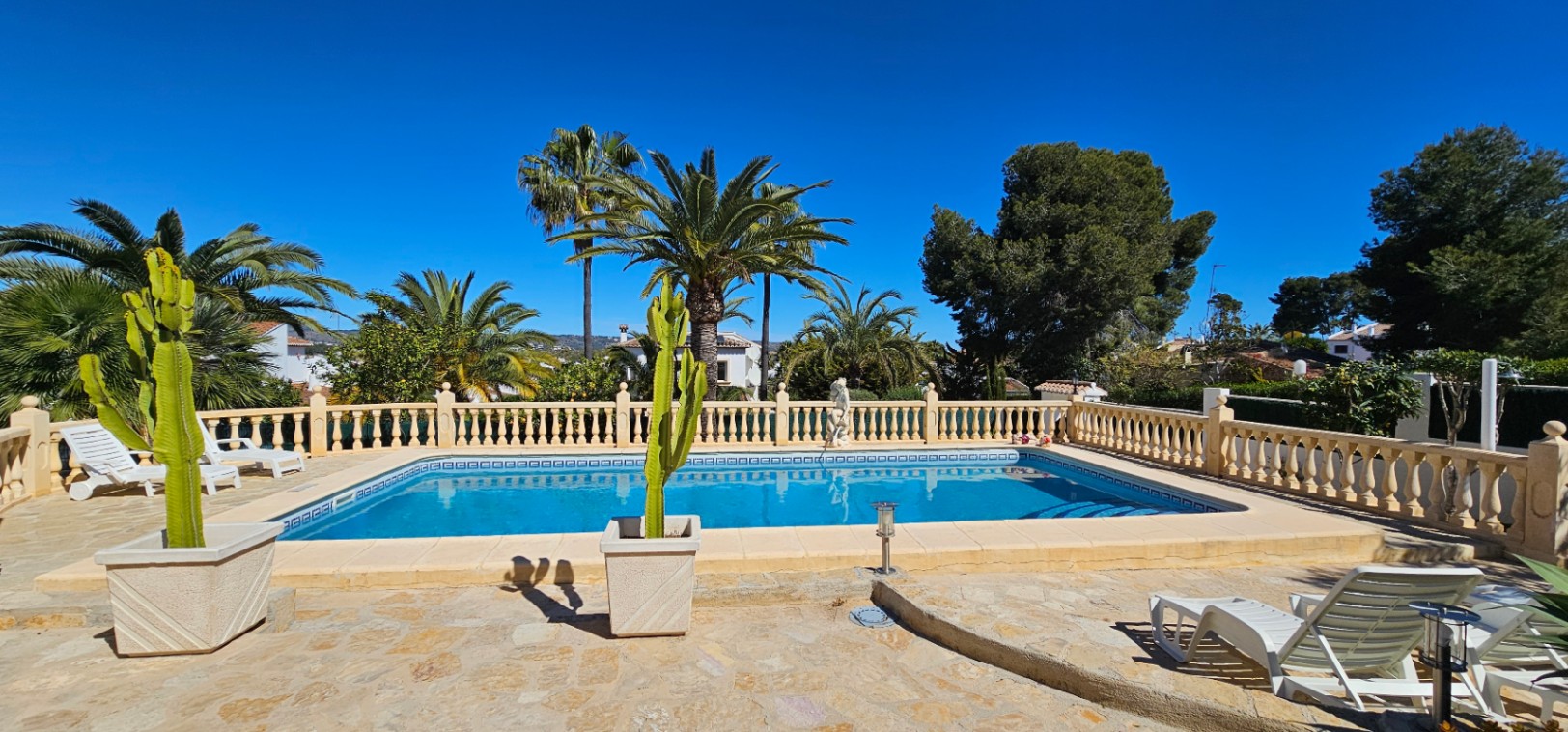Piscina rectangular rodeada de una amplia terraza de piedra natural con balaustrada clásica, palmeras maduras y cactus decorativos en maceteros.