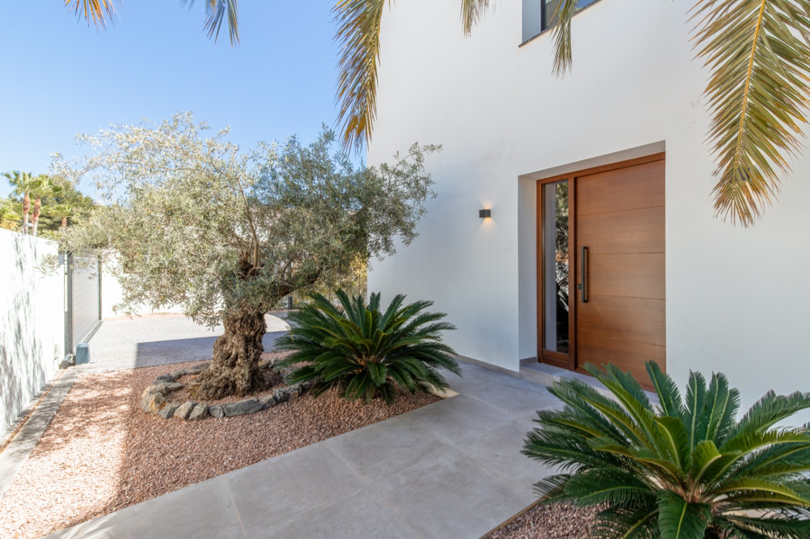 Entrada principal con puerta de madera maciza y cristal lateral, rodeada de un jardín mediterráneo con olivo centenario y palmeras sobre grava decorativa.
