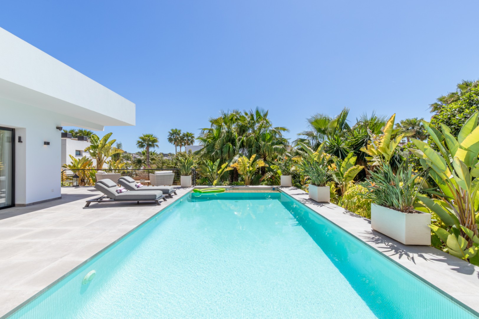 Piscina rectangular rodeada de una terraza de gres porcelánico gris, flanqueada por vegetación tropical madura y tumbonas de diseño bajo un cielo despejado.