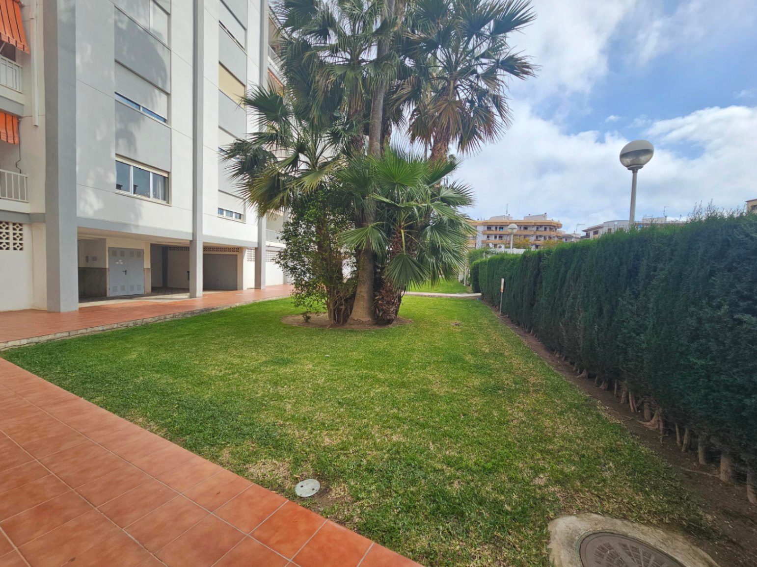 Jardín comunitario con césped cuidado, palmeras y setos altos junto al edificio residencial. Incluye caminos pavimentados con baldosas de terracota.