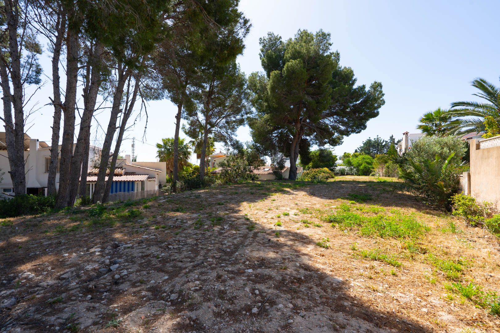 Amplia parcela llana de 900 m2 rodeada de pinos maduros, ideal para construir una casa de invitados o instalaciones deportivas en un entorno tranquilo.