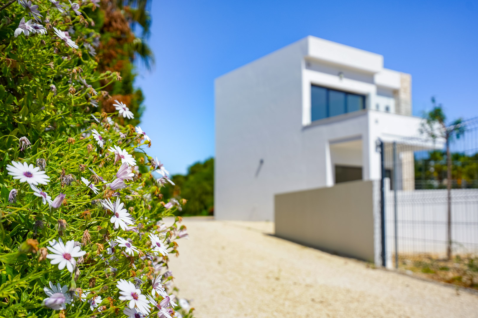 Vista exterior desde el jardín con flores en primer plano, mostrando el acceso de grava hacia la moderna fachada blanca de dos niveles.