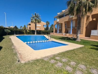 Zona de piscina comunitaria con dos vasos, rodeada de césped verde y palmeras. Edificios residenciales de tonos tierra al fondo.