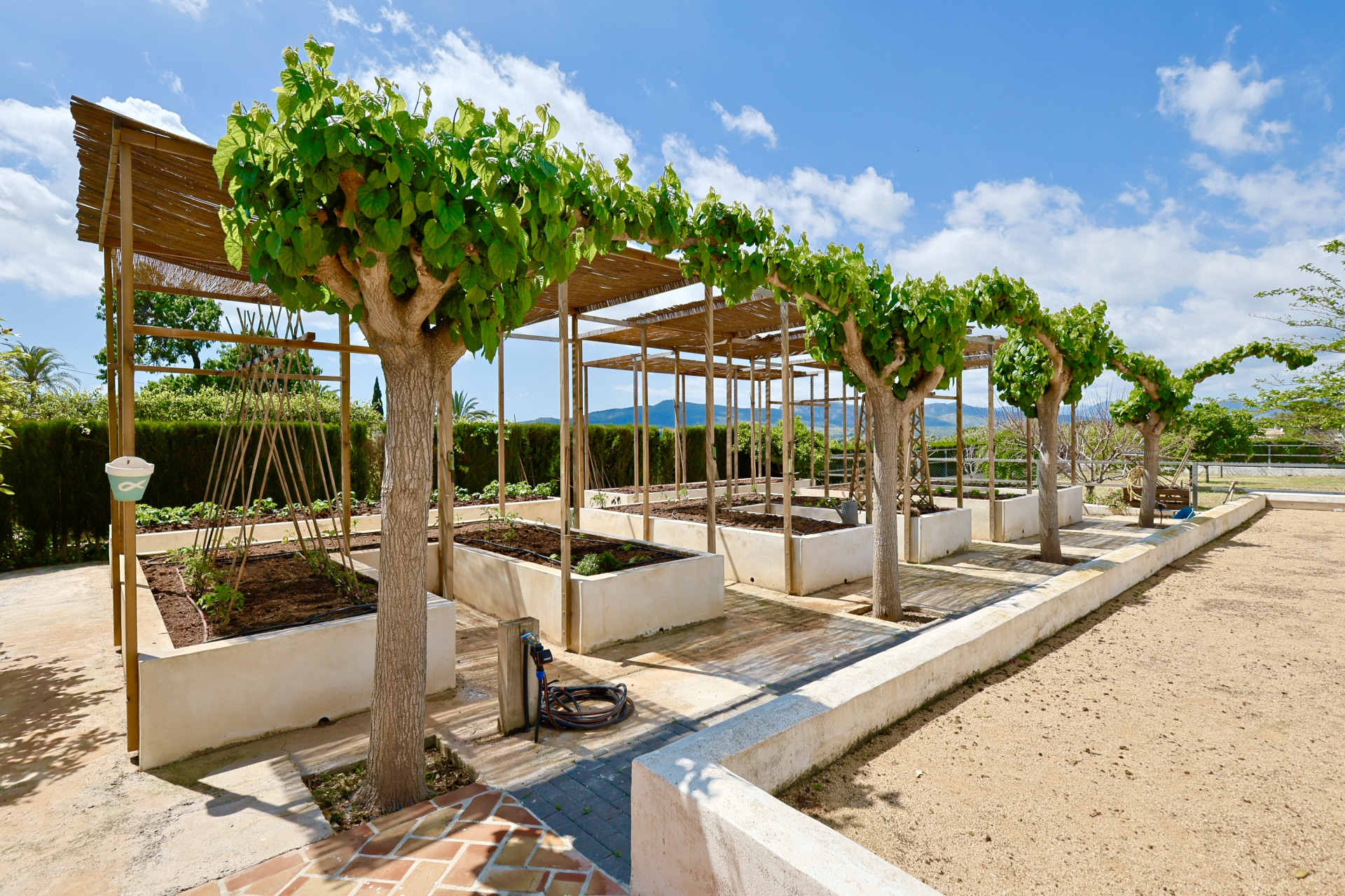 Huerto elevado con pérgola y árboles en Jávea. Diseño funcional y estético.