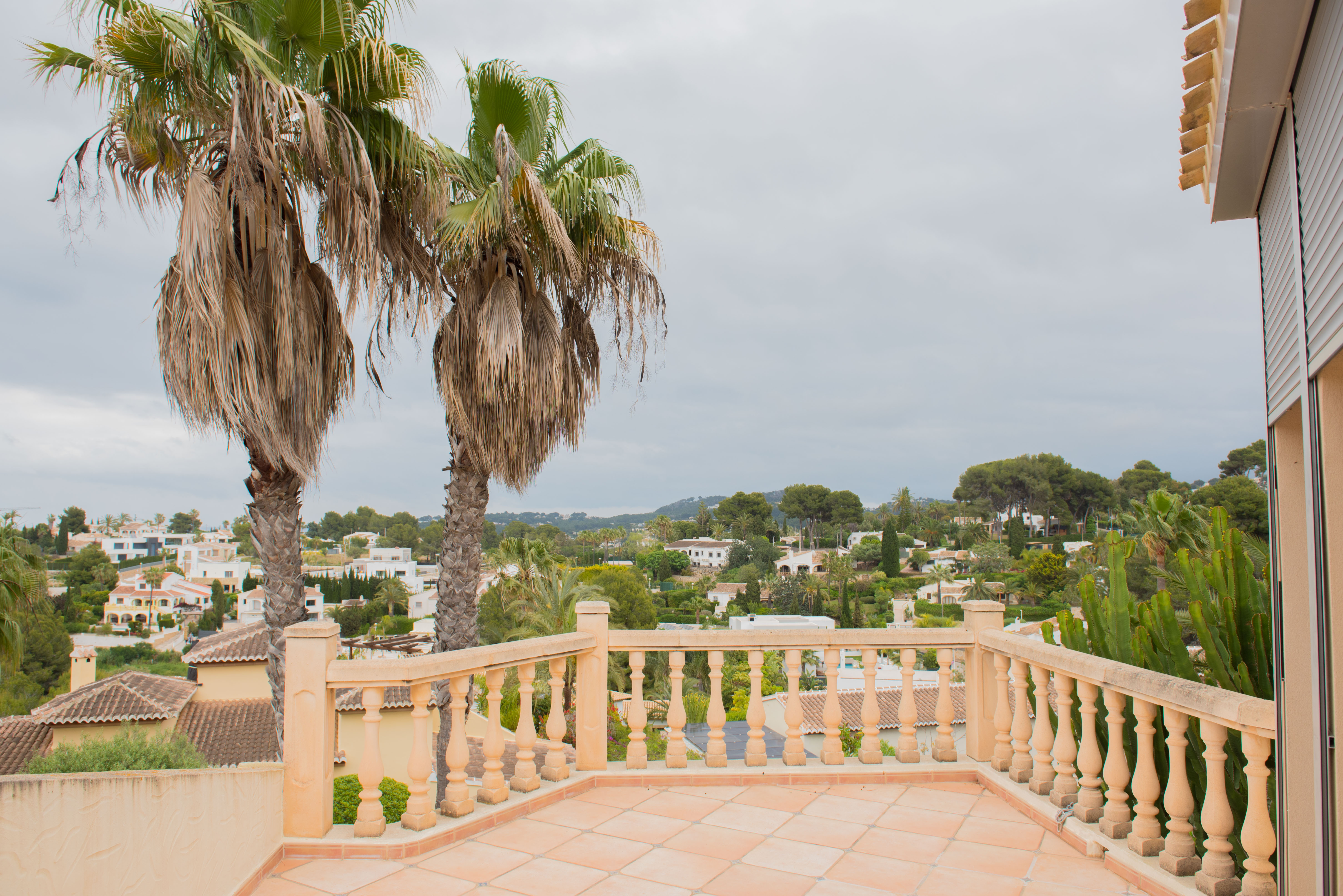 Terraza elevada con balustrada clásica y suelo de terracota, ofreciendo vistas despejadas al entorno residencial y palmeras maduras.