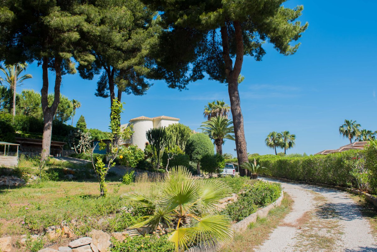 Vista de la parcela con vegetación mediterránea, palmeras y la villa principal al fondo en Jávea.