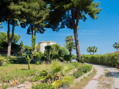 Vista de la parcela con vegetación mediterránea, palmeras y la villa principal al fondo en Jávea.